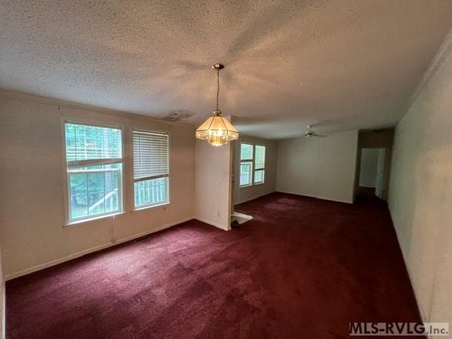 179 S Sunset Dr, Littleton NC 27850 photo 13