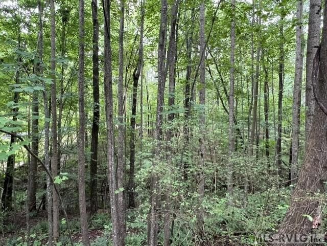 179 S Sunset Dr, Littleton NC 27850 photo 11