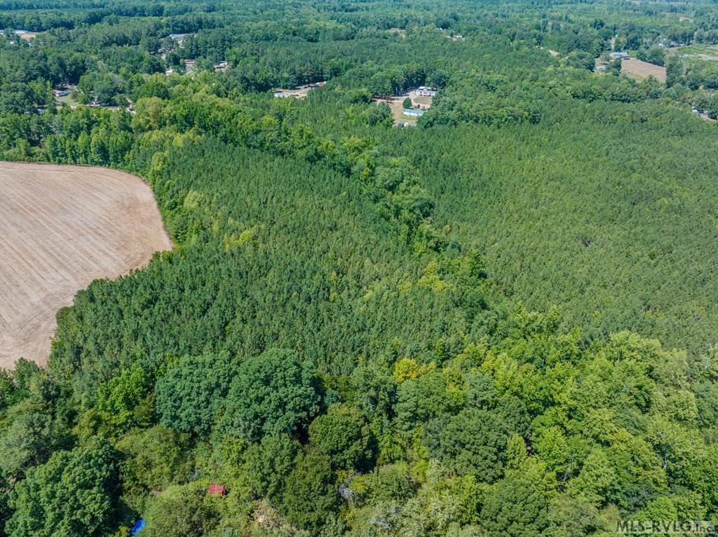 27 Justice Branch Road, Littleton NC 27850 photo 27