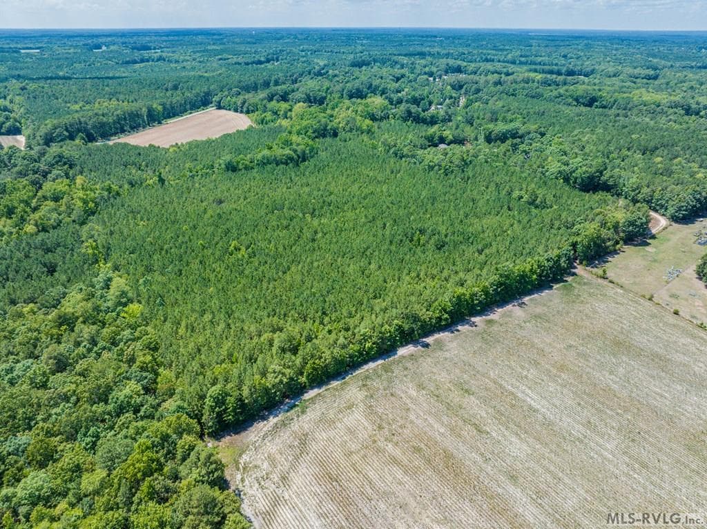 27 Justice Branch Road, Littleton NC 27850 photo 13