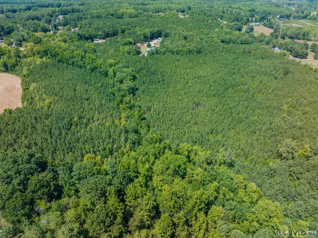 27 Justice Branch Road, Littleton NC 27850 photo 17