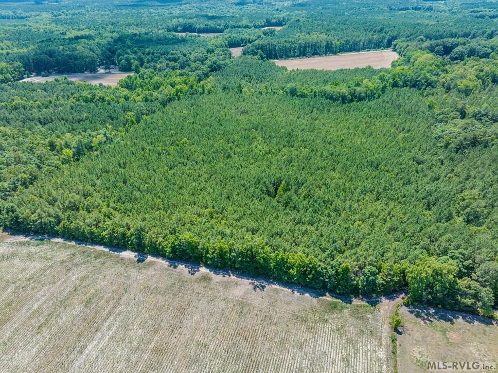 27 Justice Branch Road, Littleton NC 27850 photo 16