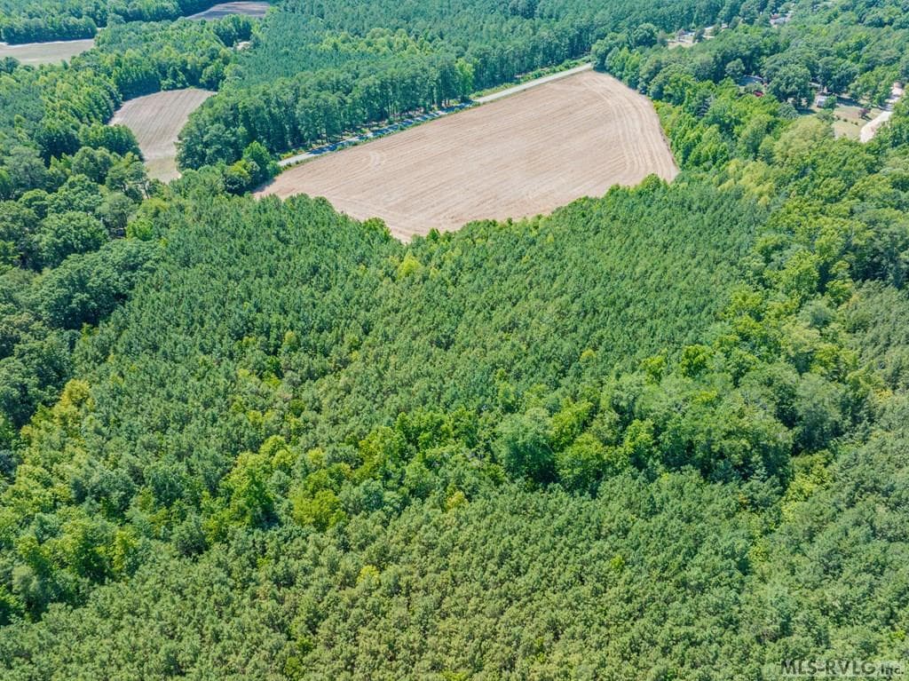 27 Justice Branch Road, Littleton NC 27850 photo 14