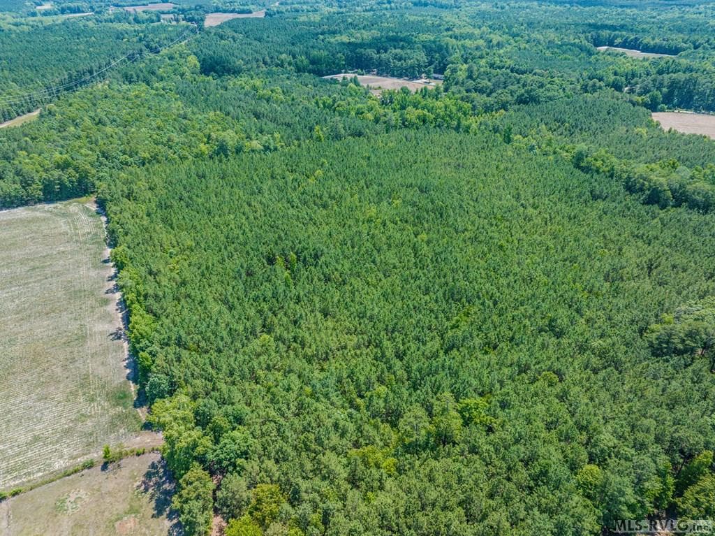 27 Justice Branch Road, Littleton NC 27850 photo 18