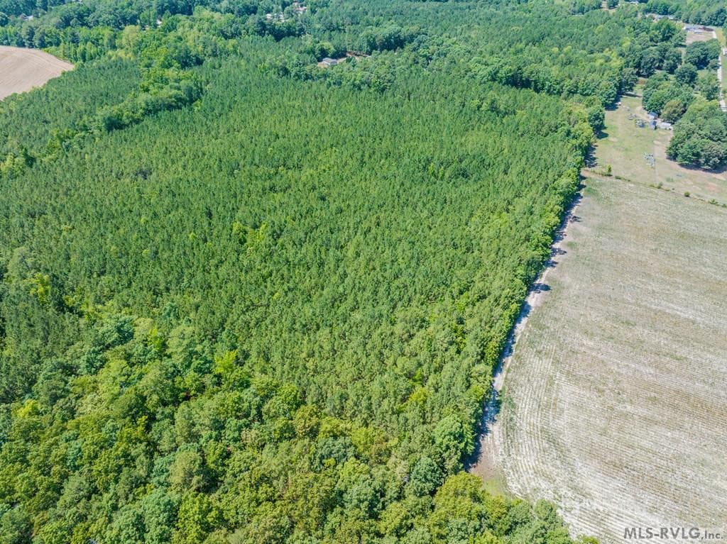 27 Justice Branch Road, Littleton NC 27850 photo 15