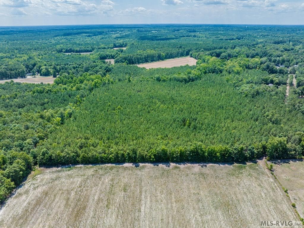 27 Justice Branch Road, Littleton NC 27850 photo 11
