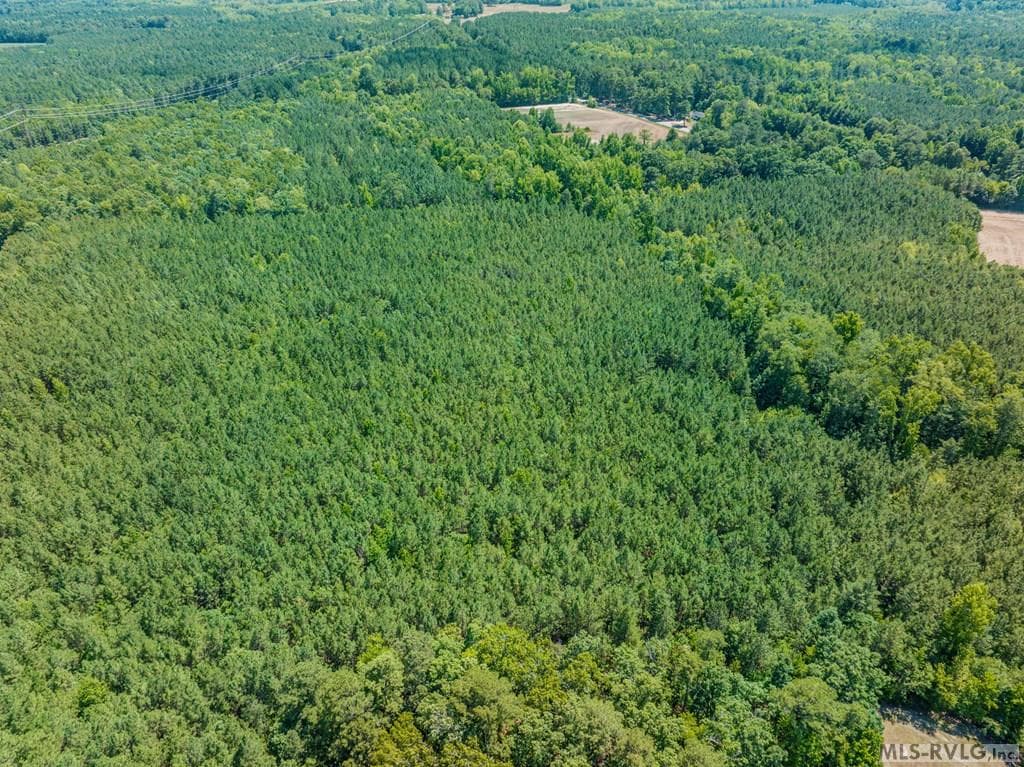 27 Justice Branch Road, Littleton NC 27850 photo 19