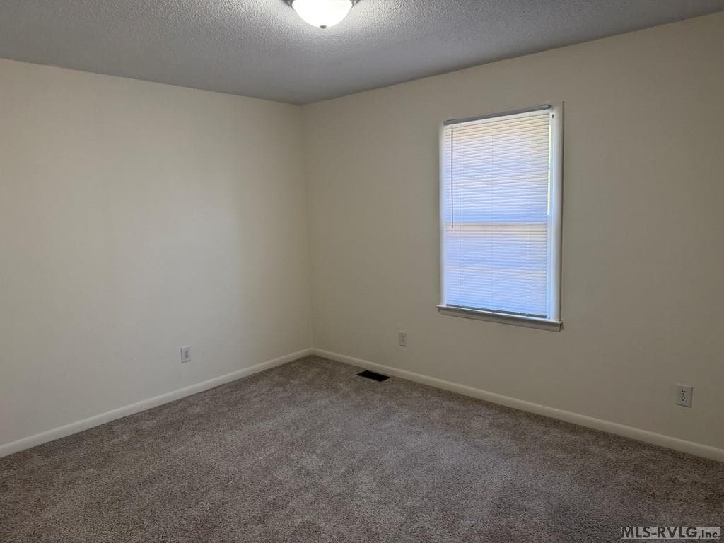 224 Hamilton Street, Roanoke Rapids NC 27870 photo 3