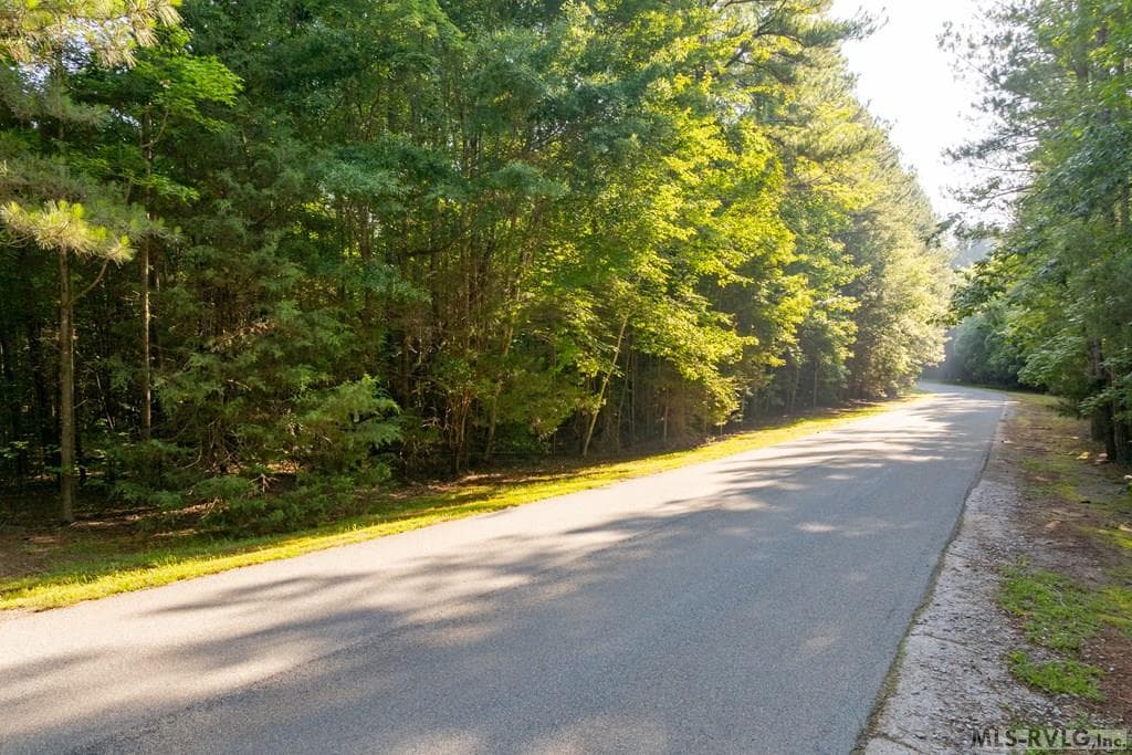 Acreage,Residential Lot-Restricted,Unimproved Land at Lot 12 F Occaneechi Trail, Ebony VA 23845, Ebony, photo 3 of 10