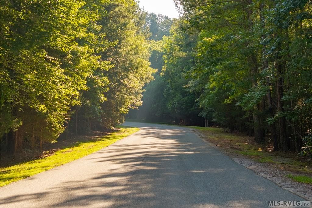 Acreage,Residential Lot-Restricted,Unimproved Land at Lot 12 F Occaneechi Trail, Ebony VA 23845, Ebony, photo 4 of 10