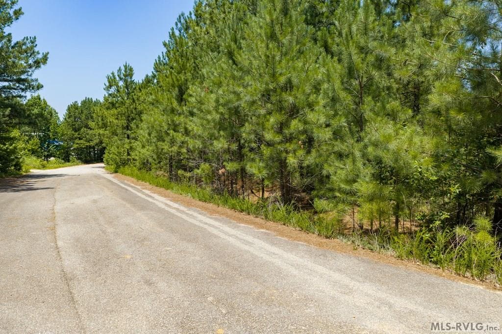 TBD Us 58, La Crosse VA 23950 photo 20