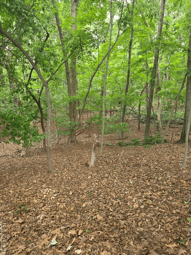 D3 Wildwood Circle, Littleton NC 27850 photo 2