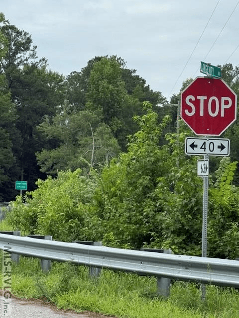 Corner Sussex Dr & Longevity Rd - 0 Sussex Dr & Longevity Rd, Stony Creek VA 23882, Stony Creek