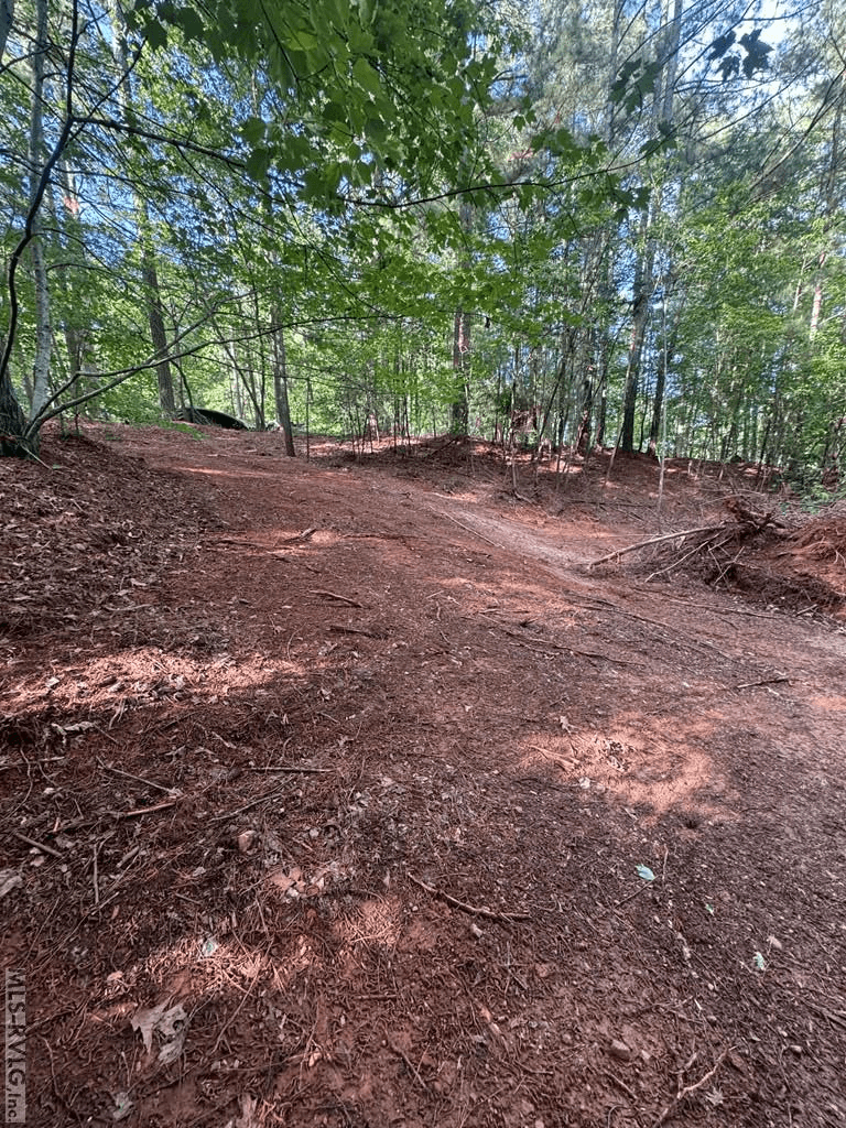 0 Forest Cove Dr, Littleton NC 27850 photo 6