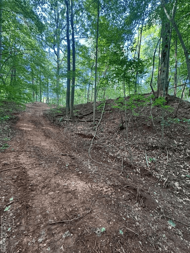 0 Forest Cove Dr, Littleton NC 27850 photo 7