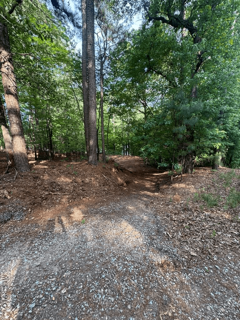 0 Forest Cove Dr, Littleton NC 27850 photo 3