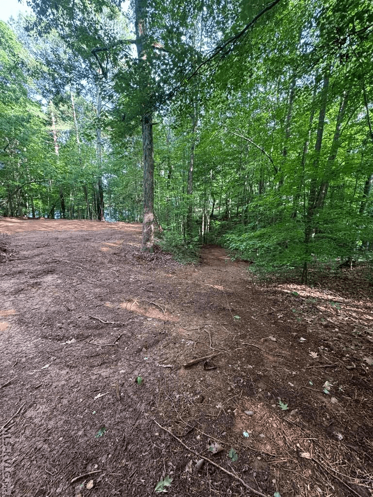 0 Forest Cove Dr, Littleton NC 27850 photo 5
