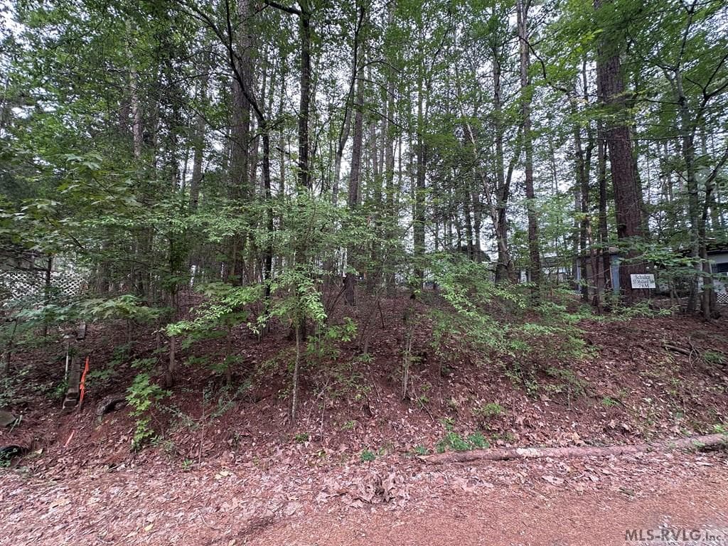 Residential Lot-Restricted,Campers/RVs Permitted,Unimproved Land at 57 Mallard Trail, Bracey VA 23919, Bracey, photo 3 of 5