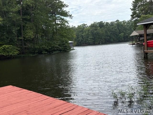 1607 Occanecchi Trail, Ebony VA 23845 photo 6