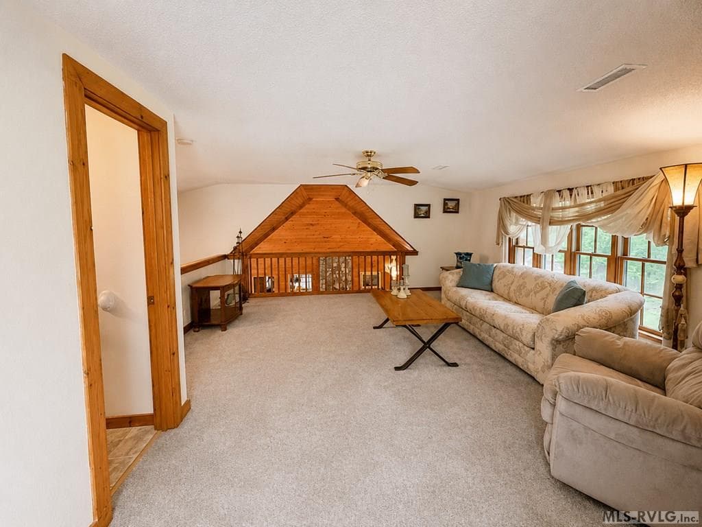 1607 Occanecchi Trail, Ebony VA 23845 photo 16