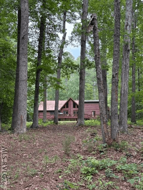 1607 Occanecchi Trail, Ebony VA 23845 photo 4