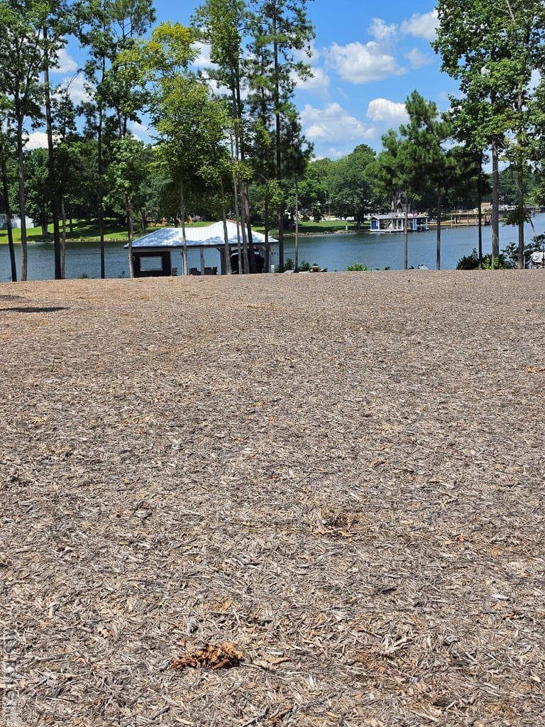 Views from the Home Site