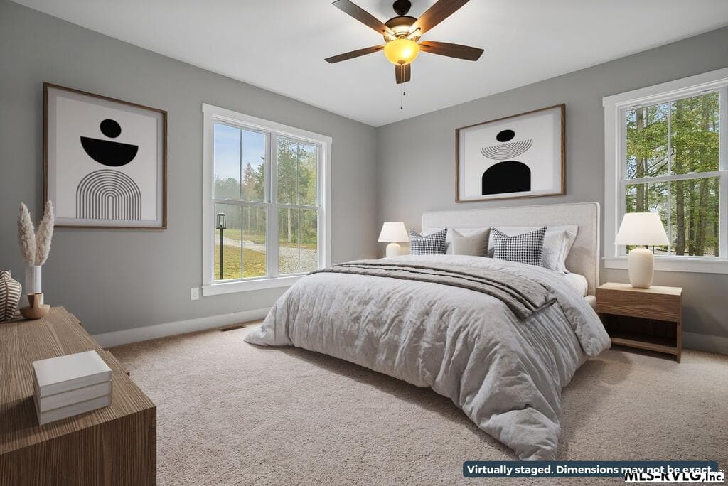TBD Hazelnut Drive, Clarksville VA 23927 photo 3