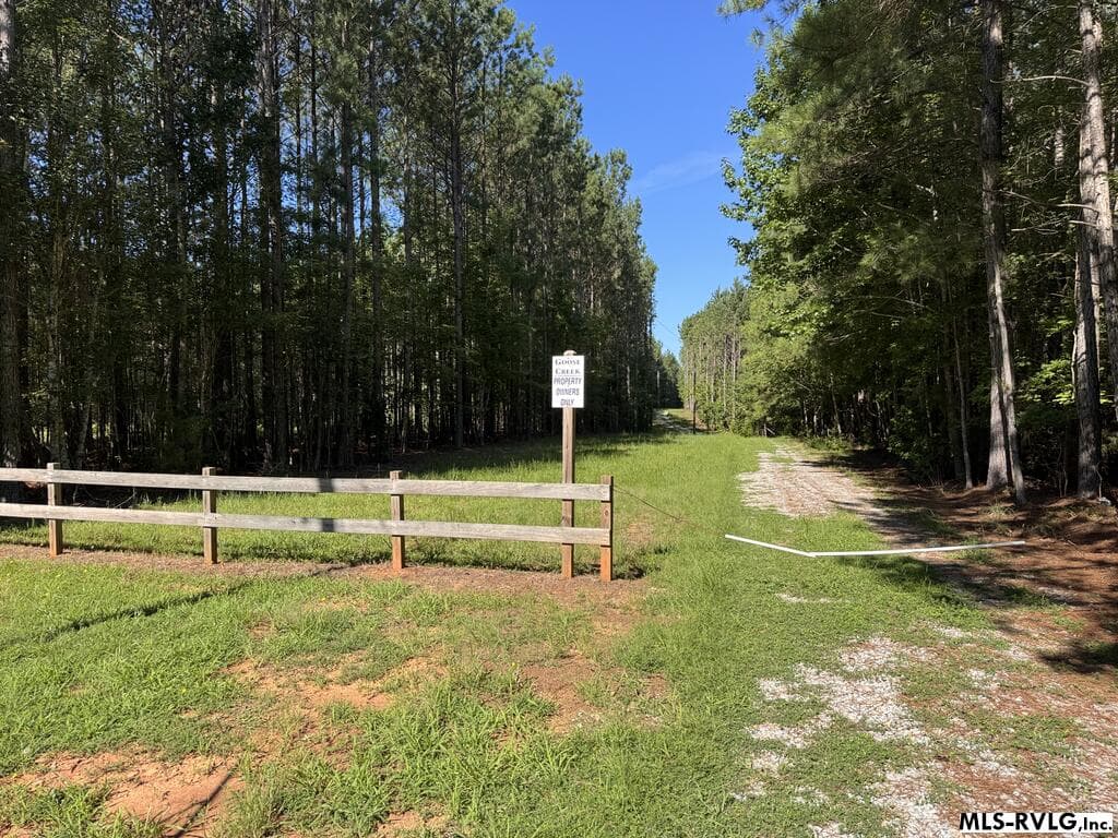 Acreage,Residential Lot-Restricted,Unimproved Land at LOT 41 Birdsong Rd, Ebony VA 23845, Ebony, photo 4 of 10
