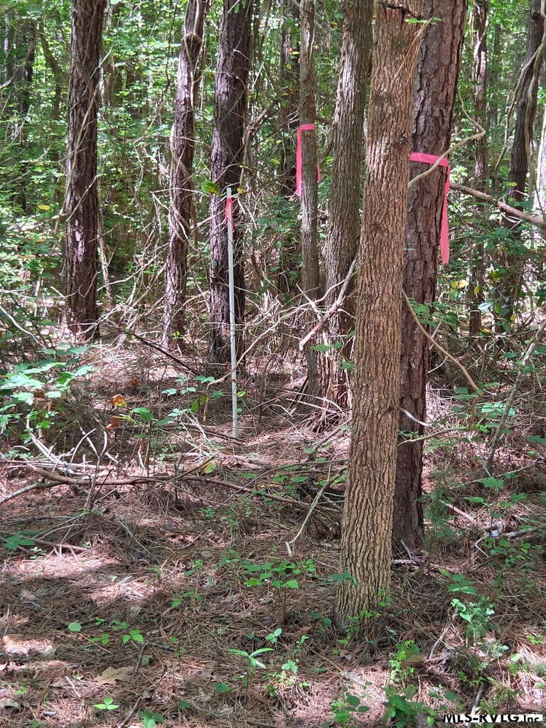 Lot # 11 Arbor Drive, Roanoke Rapids NC 27870 photo 9