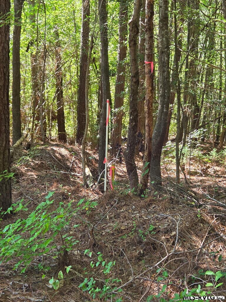 Lot # 11 Arbor Drive, Roanoke Rapids NC 27870 photo 10