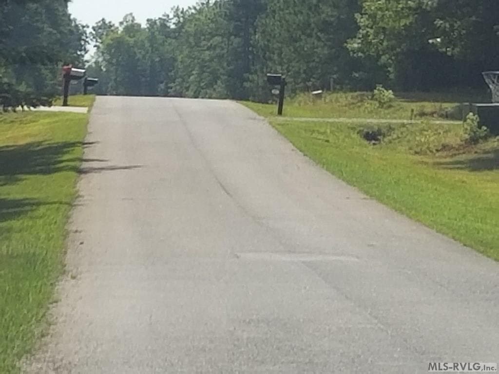 Lot # 11 Arbor Drive, Roanoke Rapids NC 27870 photo 4