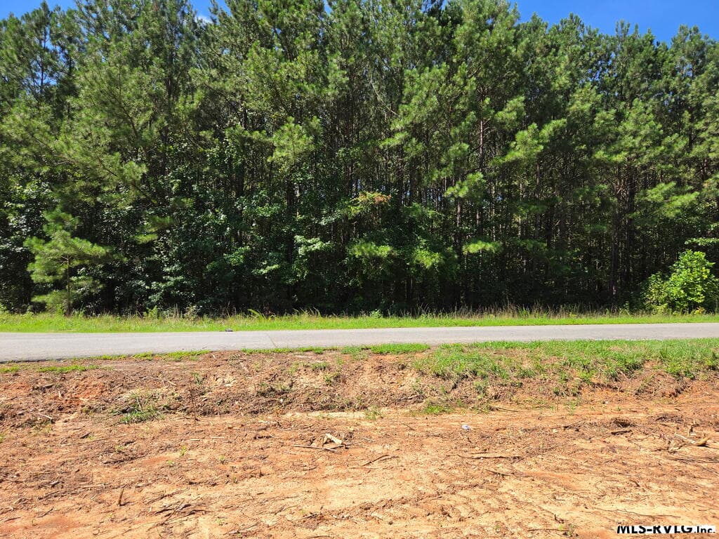 Lot # 11 Arbor Drive, Roanoke Rapids NC 27870 photo 8