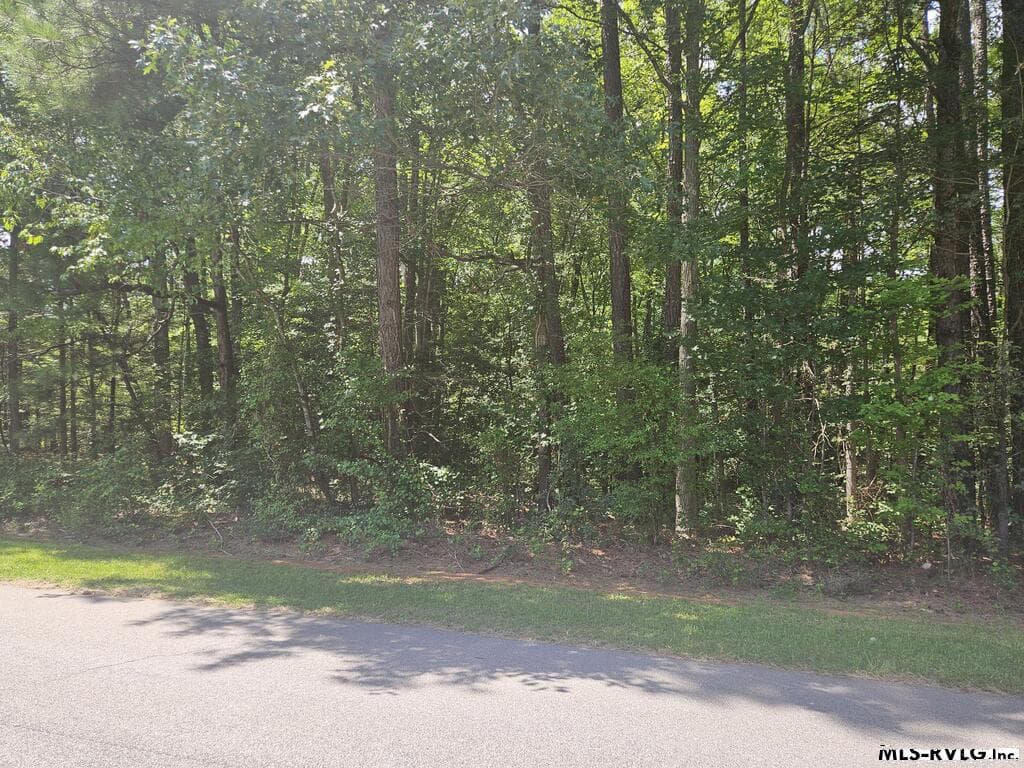 Roadside View, Paved roads and a beautiful lot .61 of an acre. Call today for more information.
