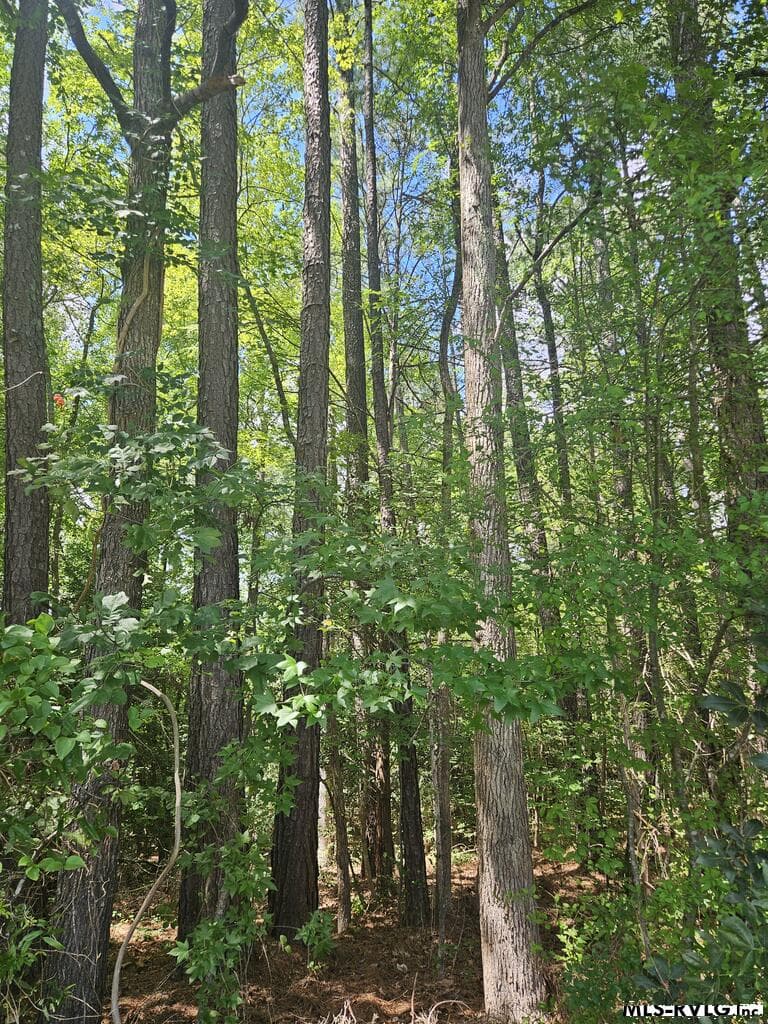 Views of Sunshine, This vacant lot offers sunshine and a place to build your lake home. Start today.