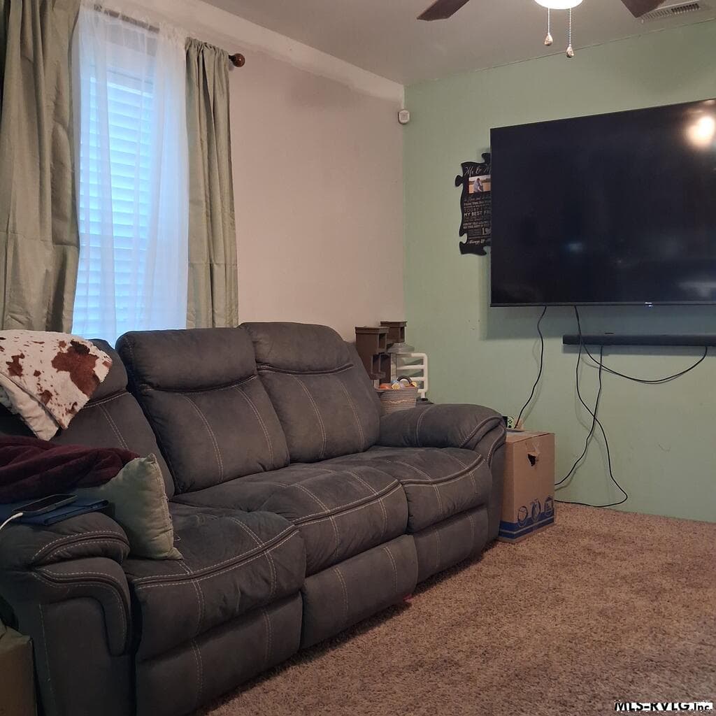 84 Zoo Rd N, Roanoke Rapids NC 27870 photo 6