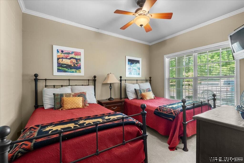 725 Valentines Street, Gasburg VA 23857 photo 52