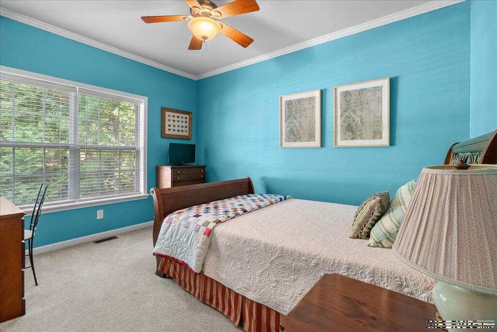 725 Valentines Street, Gasburg VA 23857 photo 53