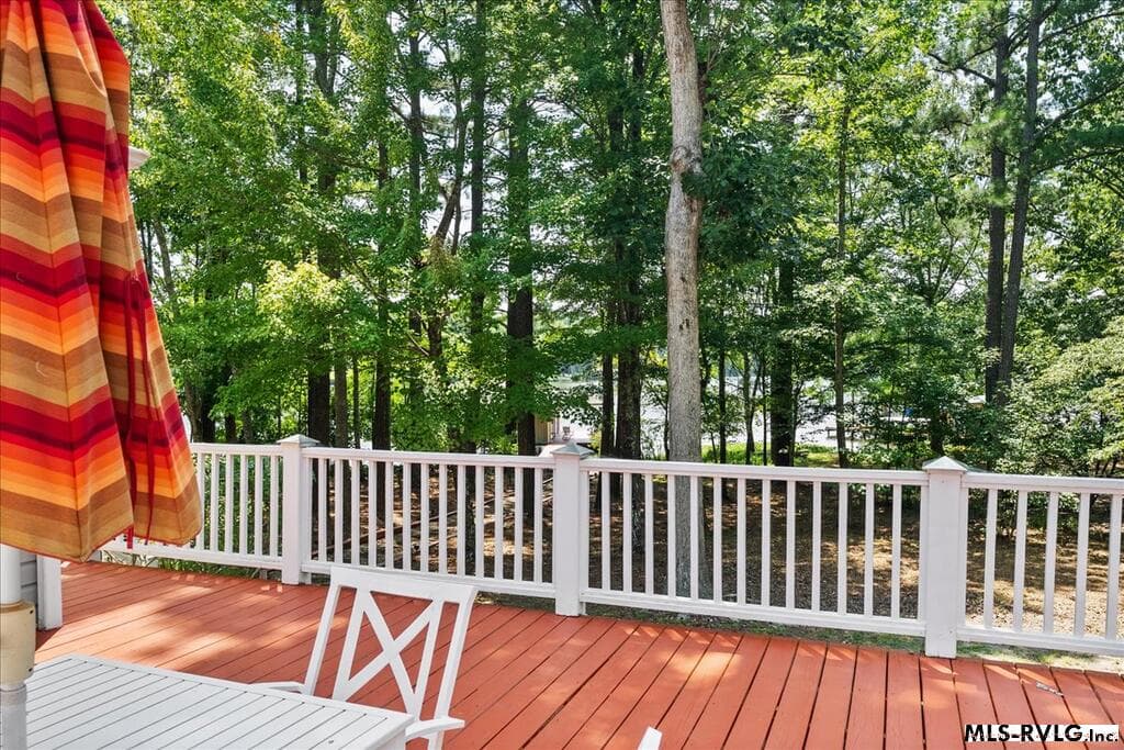 725 Valentines Street, Gasburg VA 23857 photo 65