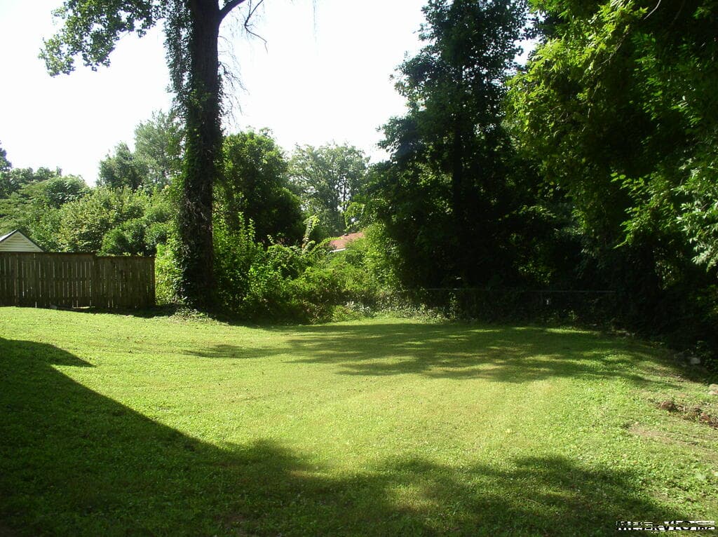 229 Perry Street, Henderson NC 27536 photo 35