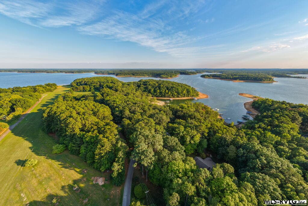 Airstrip - 1683 Merifield Dr, Clarksville VA 23927, Clarksville