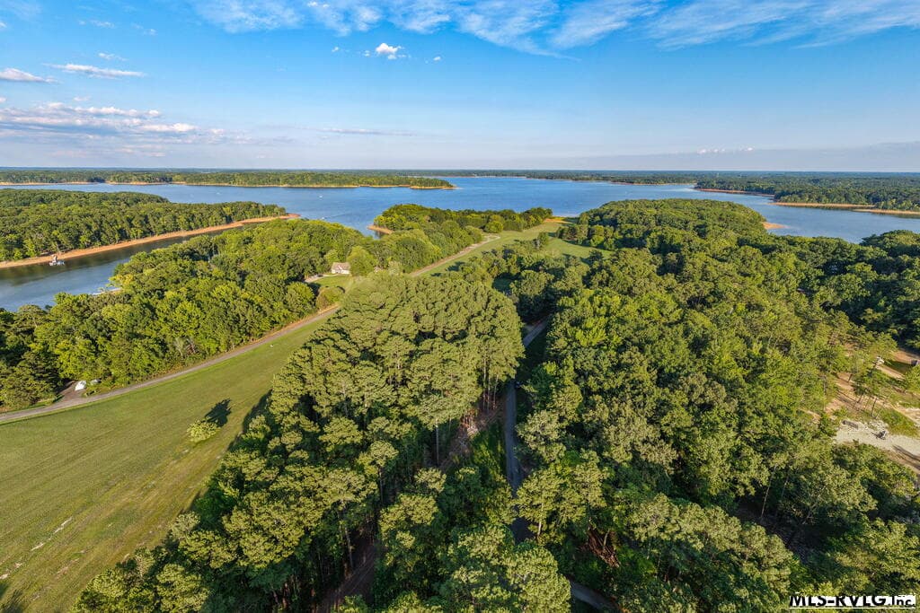 Airstrip - 1683 Merifield Dr, Clarksville VA 23927, Clarksville