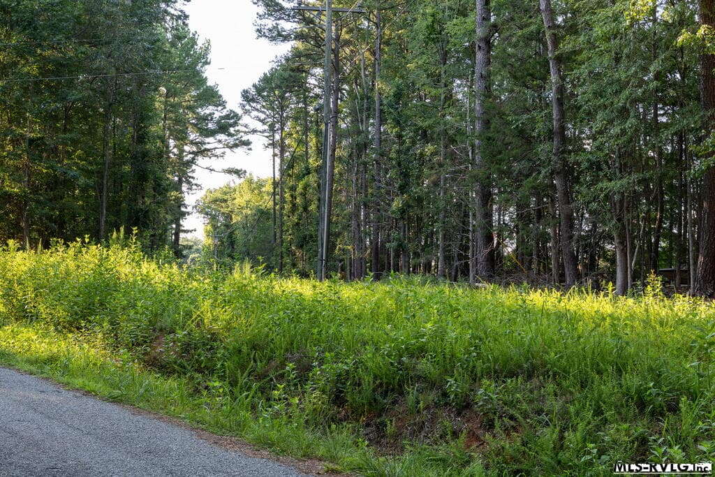 Residential Lot-Restricted,Unimproved Land at 1683 Merifield Dr, Clarksville VA 23927, Clarksville, photo 3 of 67