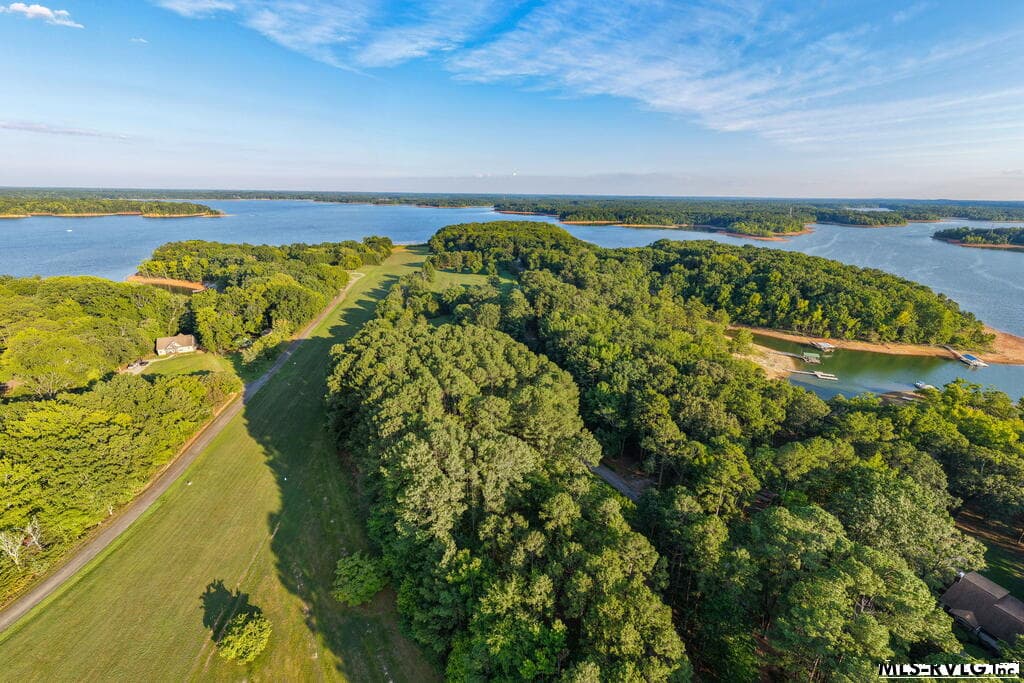 Airstrip - 1683 Merifield Dr, Clarksville VA 23927, Clarksville