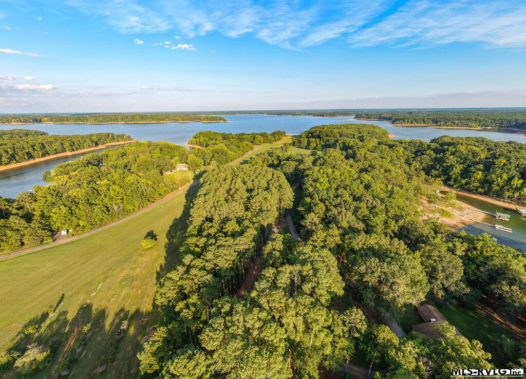 Airstrip - 1683 Merifield Dr, Clarksville VA 23927, Clarksville