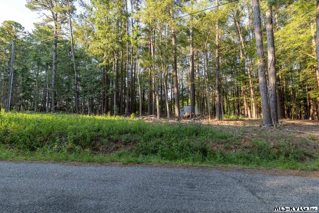 Residential Lot-Restricted,Unimproved Land at 1683 Merifield Dr, Clarksville VA 23927, Clarksville, photo 4 of 67