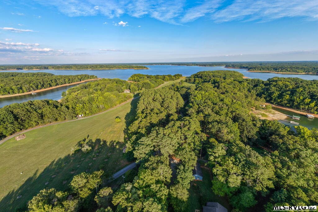 Airstrip - 1683 Merifield Dr, Clarksville VA 23927, Clarksville