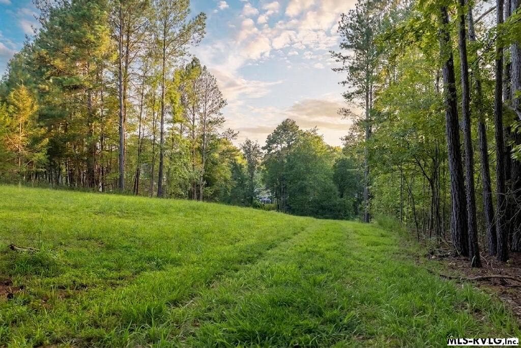 Residential Lot-Restricted,Unimproved Land at 00 Waterlyn Drive, Ebony VA 23845, Ebony, photo 11 of 16