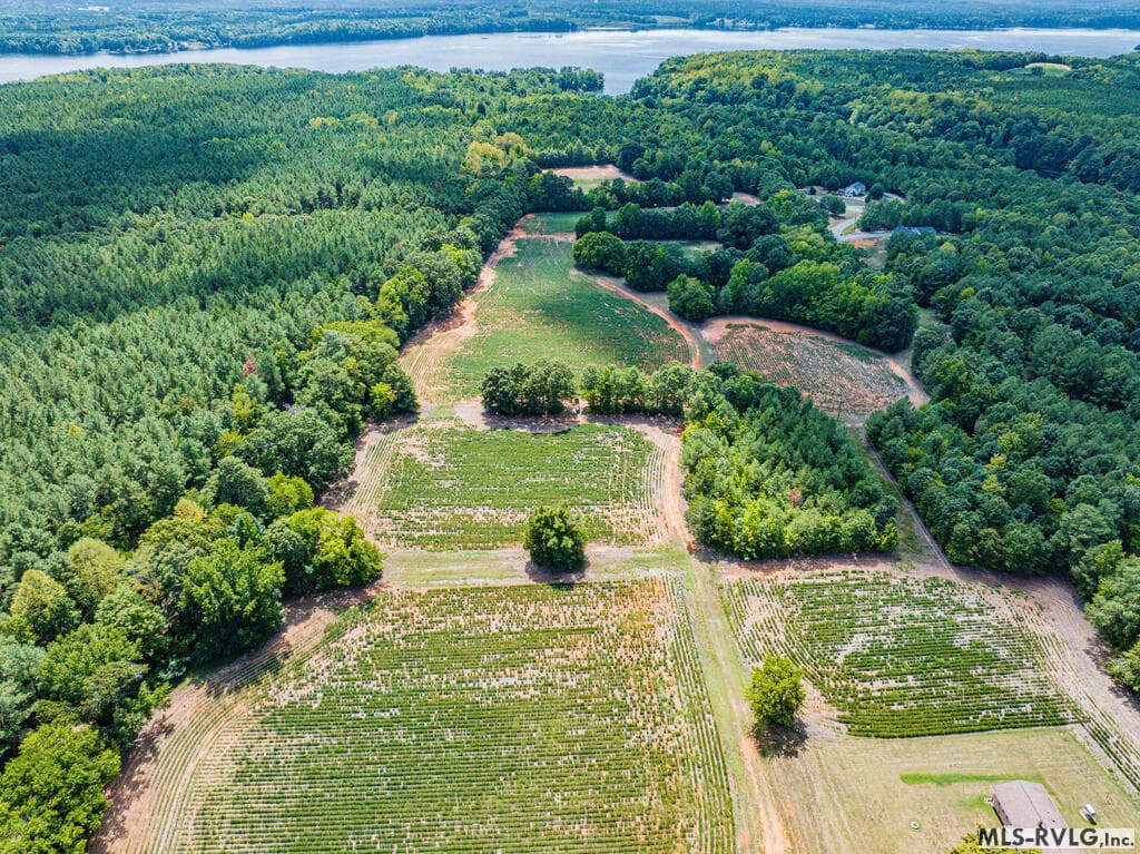Acreage,Unimproved Land at 0 Chase Lane, Gaston NC 27832, Gaston, photo 6 of 60