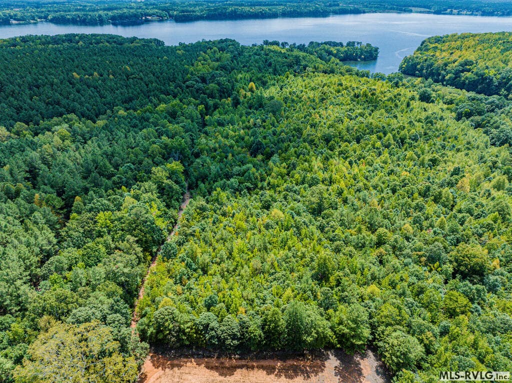 Acreage,Unimproved Land at 0 Chase Lane, Gaston NC 27832, Gaston, photo 17 of 60