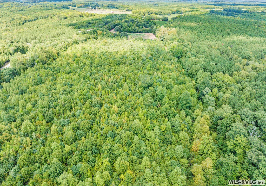Acreage,Unimproved Land at 0 Chase Lane, Gaston NC 27832, Gaston, photo 57 of 60